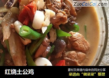 红烧土公鸡