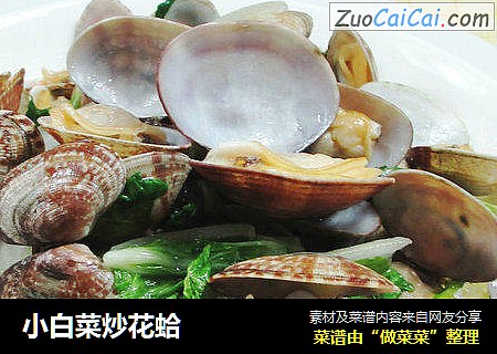 小白菜炒花蛤