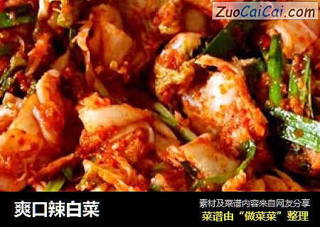 爽口辣白菜