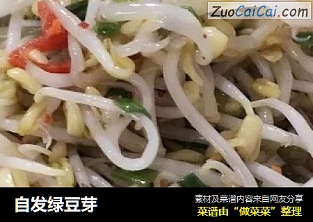 自发绿豆芽