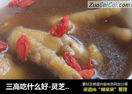 三高吃什么好-灵芝枸杞凤爪汤