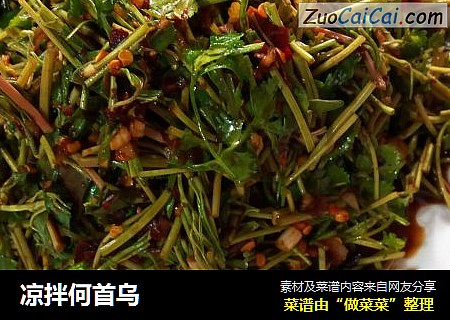凉拌何首乌
