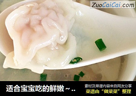 适合宝宝吃的鲜嫩～馄饨