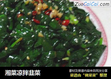 湘菜凉拌韭菜