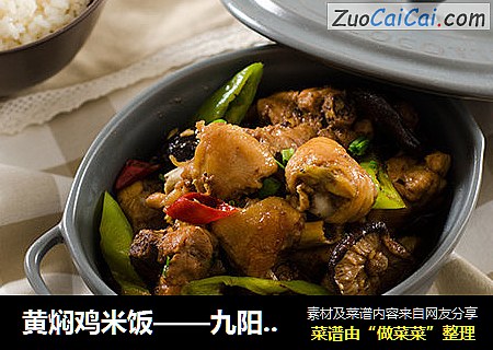 黄焖鸡米饭——九阳知食