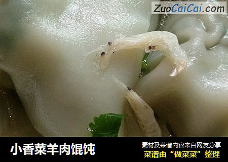 小香菜羊肉馄饨