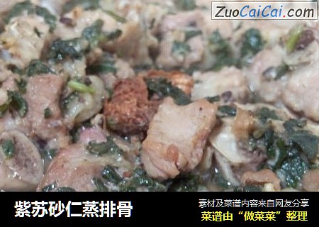 紫苏砂仁蒸排骨