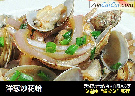 洋葱炒花蛤