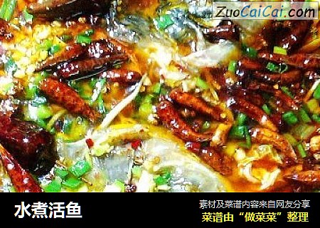 水煮活鱼