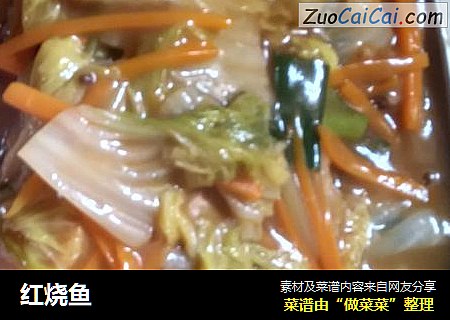 红烧鱼