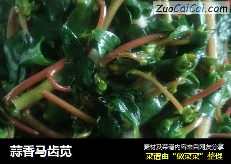 蒜香马齿苋