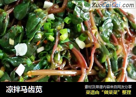 凉拌马齿苋