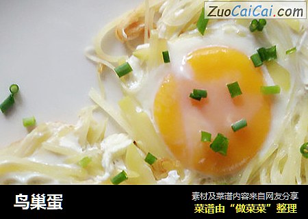 鸟巢蛋