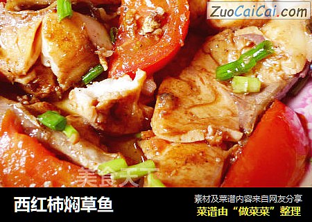 西红柿焖草鱼