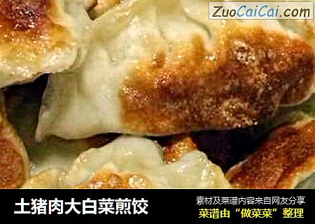 土猪肉大白菜煎饺