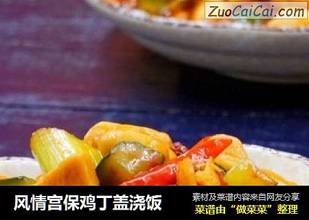 风情宫保鸡丁盖浇饭