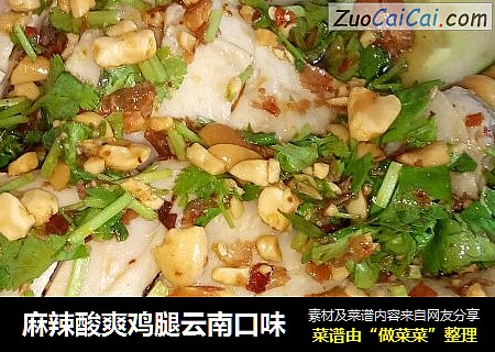 麻辣酸爽鸡腿云南口味
