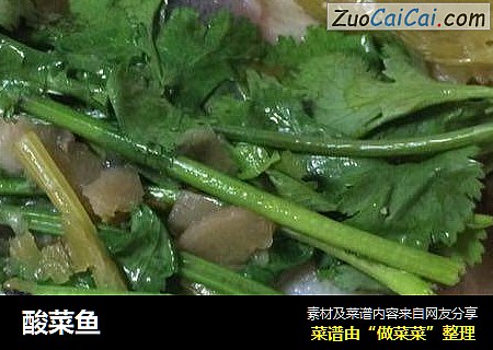 酸菜鱼