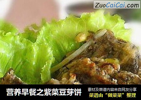 营养早餐之紫菜豆芽饼