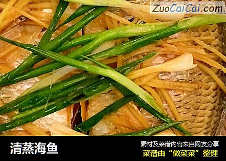 清蒸海鱼
