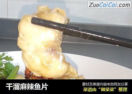 干溜麻辣鱼片