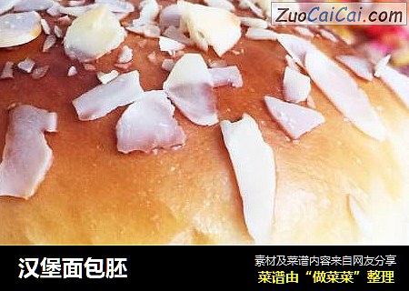 汉堡面包胚