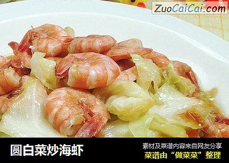圆白菜炒海虾 
