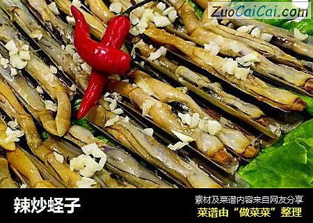 辣炒蛏子