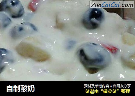 自制酸奶