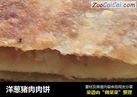 洋葱猪肉肉饼