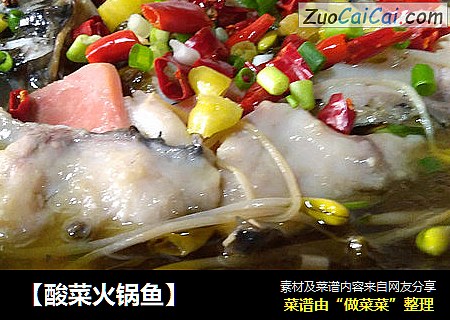 【酸菜火锅鱼】