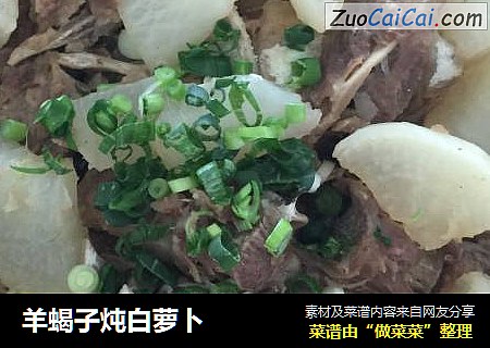 羊蝎子炖白萝卜
