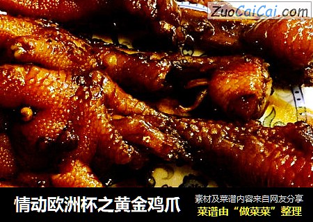 情动欧洲杯之黄金鸡爪