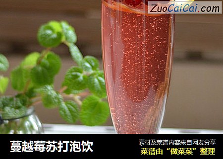 蔓越莓苏打泡饮