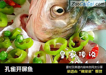 孔雀开屏鱼