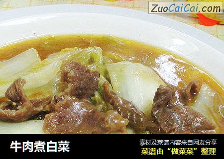 牛肉煮白菜 