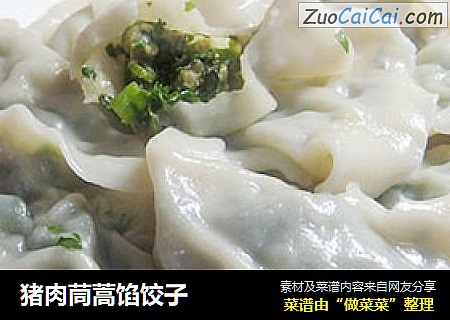 猪肉茼蒿馅饺子