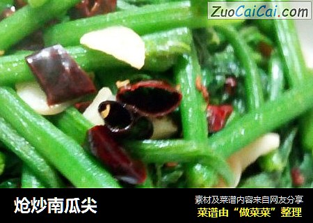 炝炒南瓜尖