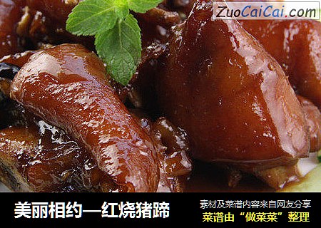 美丽相约—红烧猪蹄