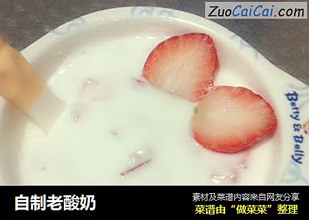 自制老酸奶