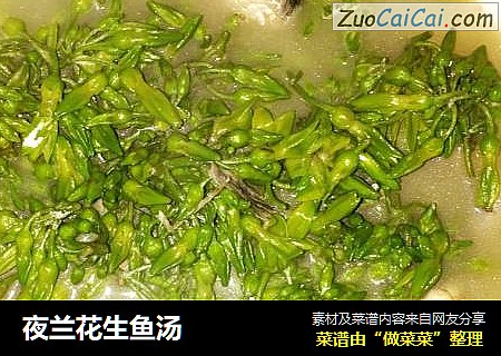 夜兰花生鱼汤