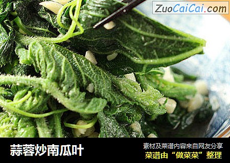 蒜蓉炒南瓜叶