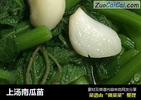 上汤南瓜苗