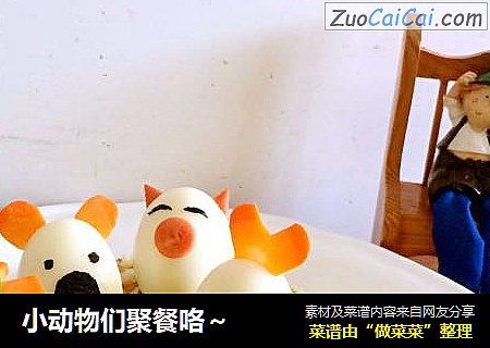 小动物们聚餐咯～