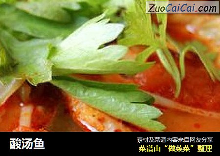 酸汤鱼