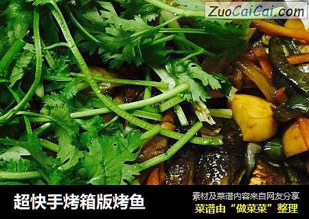 超快手烤箱版烤鱼