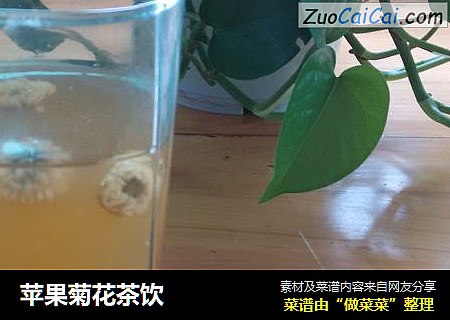 苹果菊花茶饮