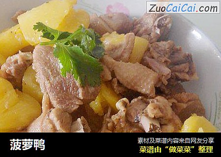 菠萝鸭