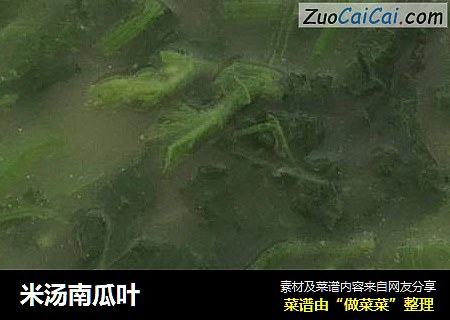 米汤南瓜叶