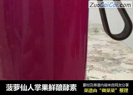 菠萝仙人掌果鲜酿酵素